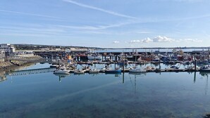 Un puerto deportivo con barcos amarrados, un muelle y una costa lejana.