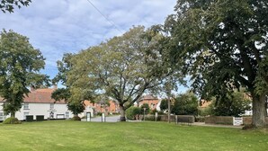 A residential area with a grassy lawn, trees, and houses in the background.