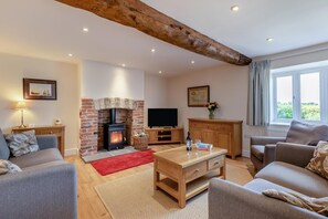 Televisión y chimenea 