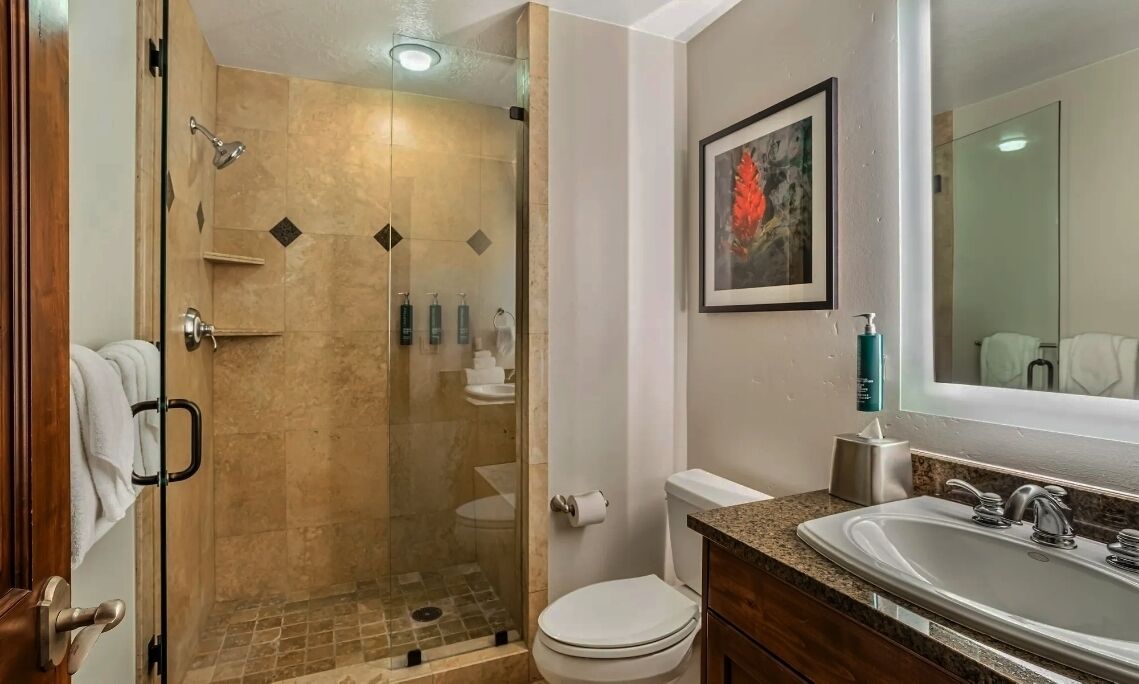 Une salle de bain avec une douche à parois de verre, des toilettes, un lavabo avec un miroir et une œuvre d’art encadrée accrochée au mur.
