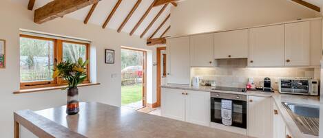 Microondas, horno, lavavajillas y periquera