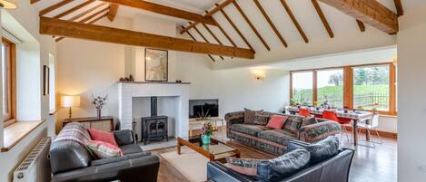 Televisión y chimenea