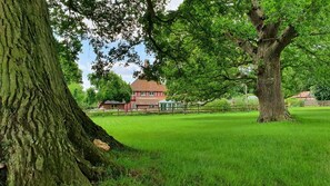 Property grounds - 6 Bed in Wymondham (oc-t30598) (Wymondham)