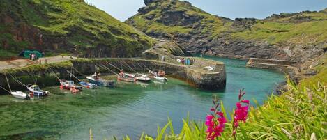 Puerto deportivo