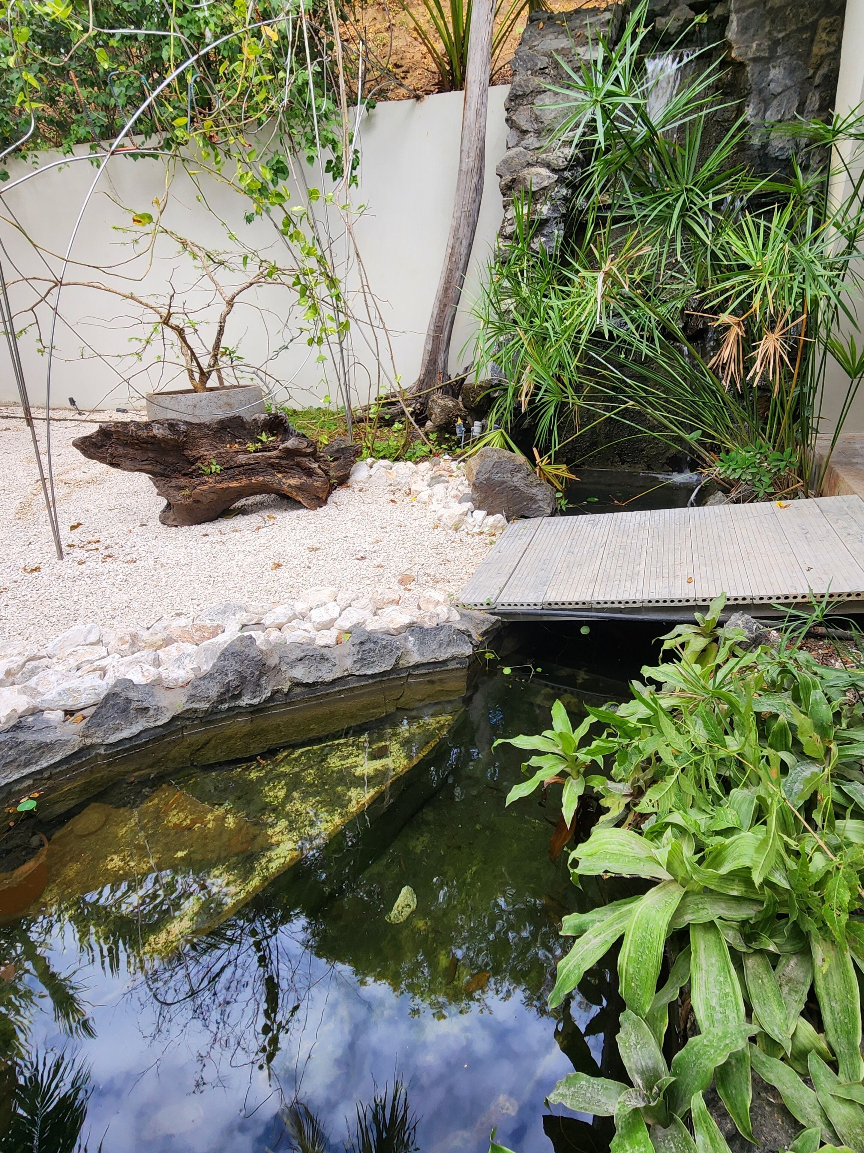 Overnattingsstedets uteområder