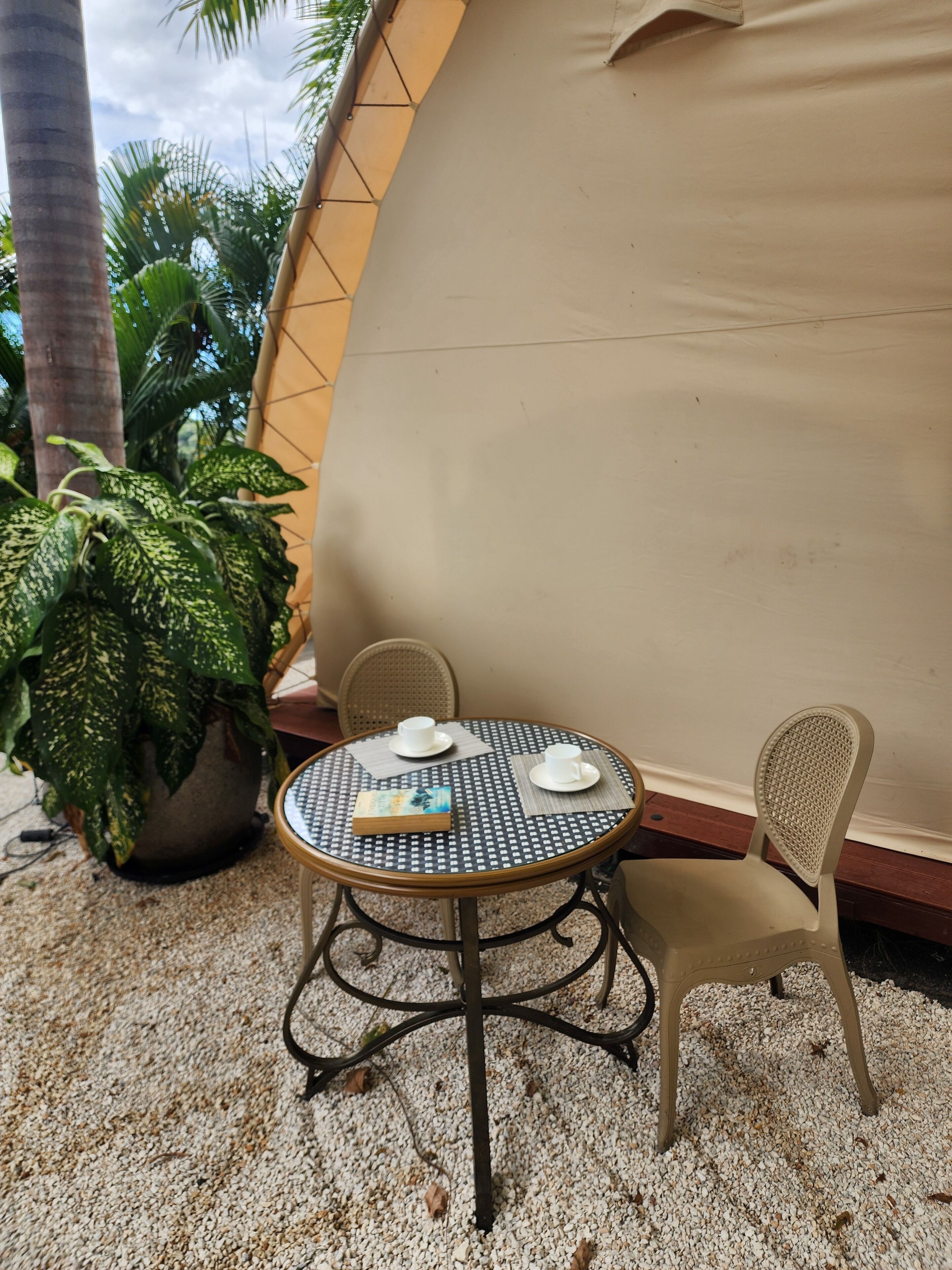 A round table with a checkered tablecloth, two white cups, and a book on it. There is a potted plant with variegated leaves to the left of the table. The setting includes a wicker chair and a beige tent-like structure in the background.