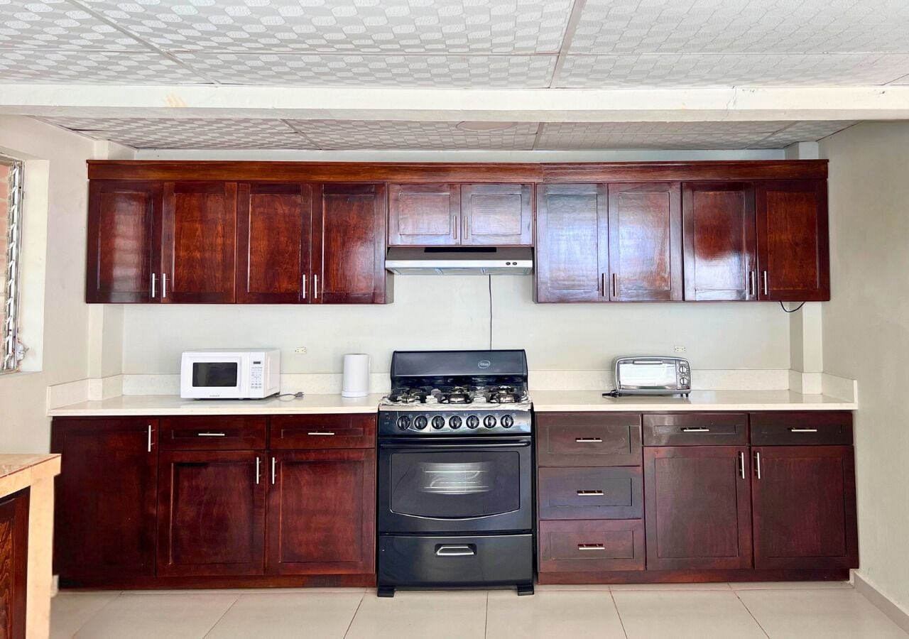 Hus – basic, terrasse, strandutsikt | Eget kjøkken | Kjøleskap, mikrobølgeovn, kokeplater og kjøkkenutstyr