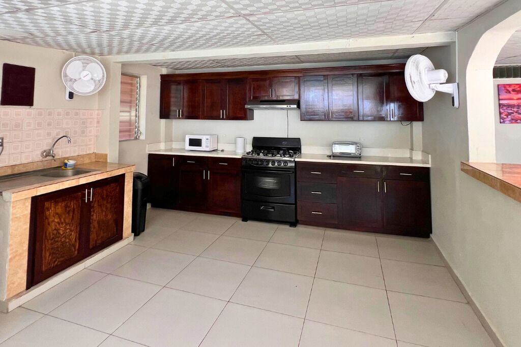 Cozinha compacta com armários de madeira escura, fogão a gás, micro-ondas e forno embutido.