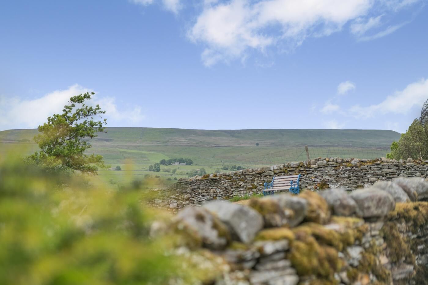 A stone wall with a bench, a tree, and a distant view of rolling hills.