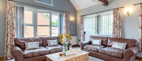 Televisión, chimenea