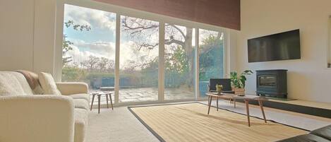 Télévision, cheminée