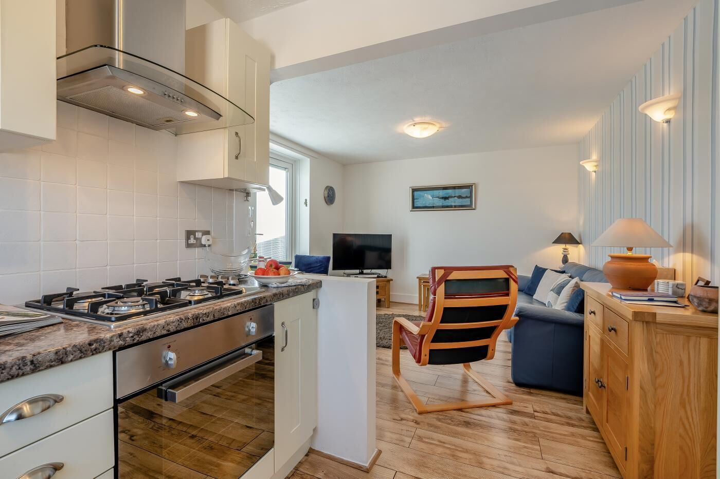 Oven, dishwasher, cookware/dishes/utensils