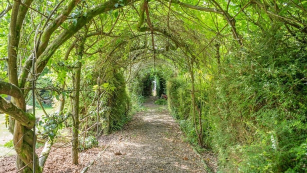 A narrow, tree-lined path in a forested area. - 1 Bed in Nant-y-derry (oc-g30807) (Nant-y-derry)