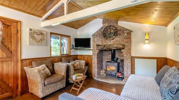 Télévision, cheminée