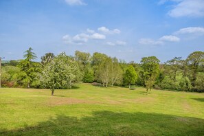 A grassy outdoor area with trees and a clear sky.