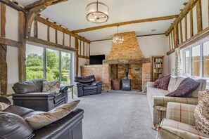 Télévision, cheminée