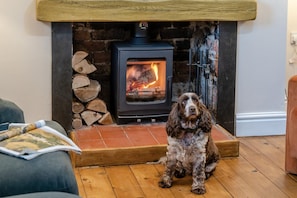 A dog sitting in front of a wood-burning stove in a room with a fireplace, wooden flooring, and a stack of firewood.