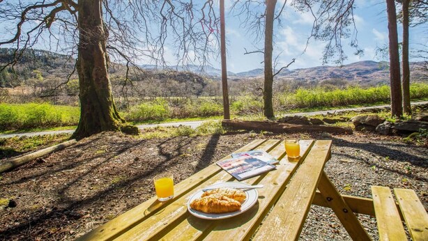 Une table de pique-nique avec de la nourriture et des boissons, entourée d’arbres et offrant une vue sur des collines.