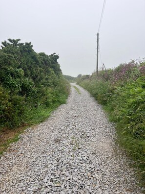 A gravel road flanked by dense vegetation and a utility pole. - 3 Bed in Penzance (oc-k20665) (Lamorna)