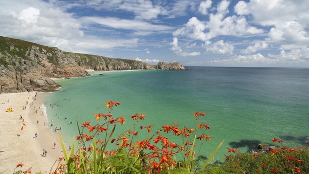 Une plage côtière aux eaux turquoise et limpides, bordée de falaises rocheuses, avec des fleurs rouges au premier plan.