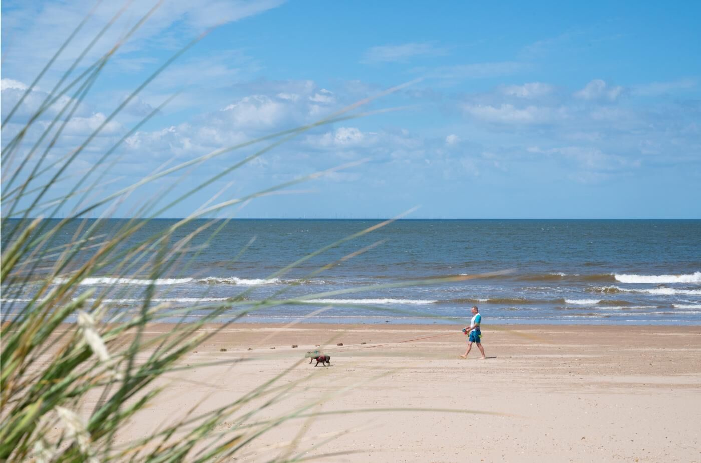 A beach with a person and a dog, clear skies, and ocean waves.