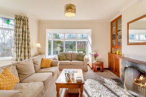 Télévision, cheminée