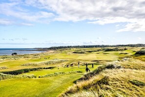 Golf - 3 Bed in Kingsbarns (oc-k30925) (Kingsbarns)