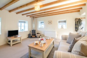 Fernseher, Kamin