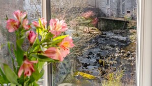 A window view of a stone building with a stream and a potted plant with pink flowers.
