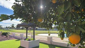 A garden with a pergola, artificial grass, and a water feature. - Desert Oasis backing Golden Hills Golf Course. (Mesa)