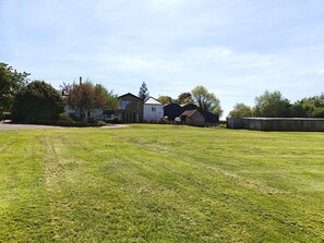 A grassy yard with a house, a barn, and a large tree.