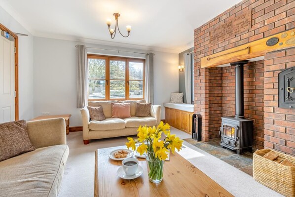 Télévision, cheminée