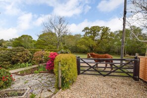 Property grounds - 3 Bed in Brockenhurst (oc-w30959) (Brockenhurst)