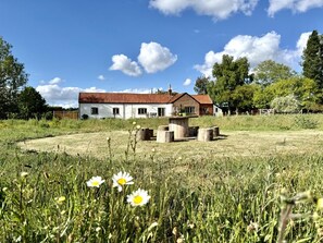 Une maison blanche avec un toit rouge, entourée d’un champ verdoyant parsemé de marguerites, et un banc en bois au premier plan.
