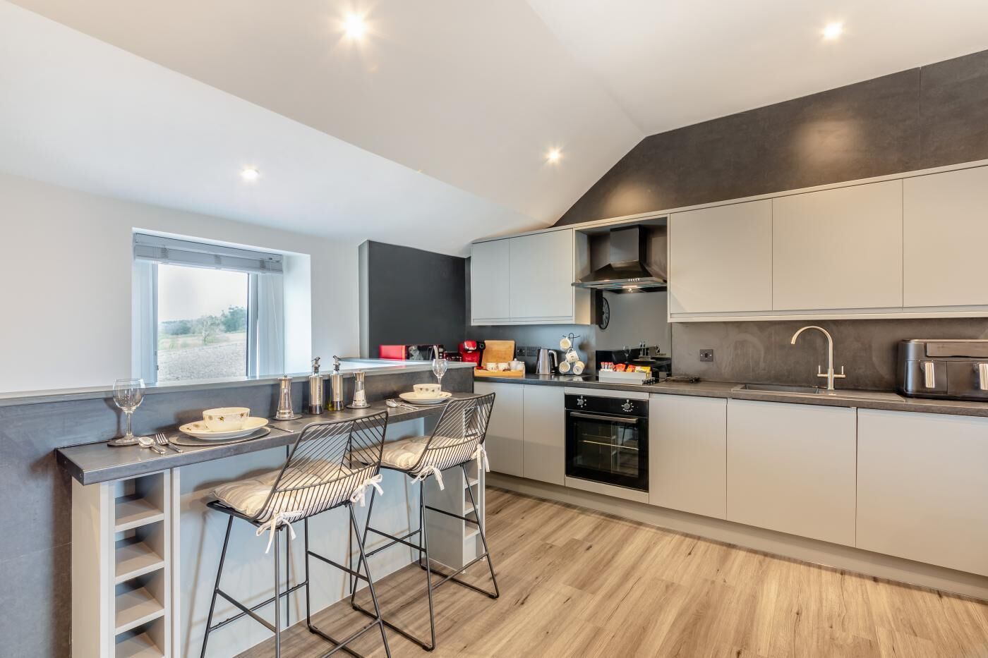 Microondas, horno, lavavajillas y periquera 