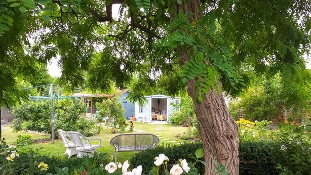 En trädgård med ett träd, ett litet förråd och två stolar.