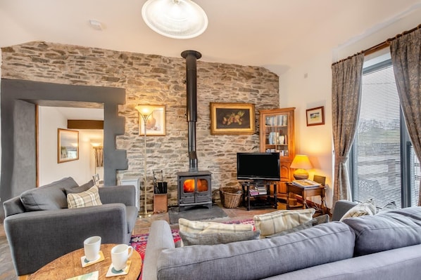 TV, fireplace