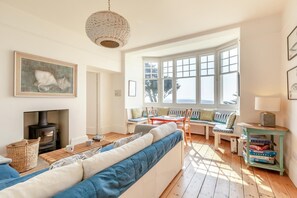 تلفزيون، مدفأة