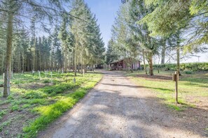 A gravel path leading to a rustic cabin surrounded by tall trees.