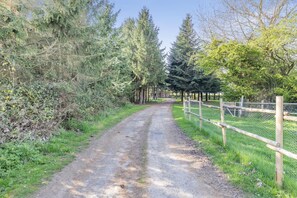 A gravel path flanked by dense trees and a wooden fence.