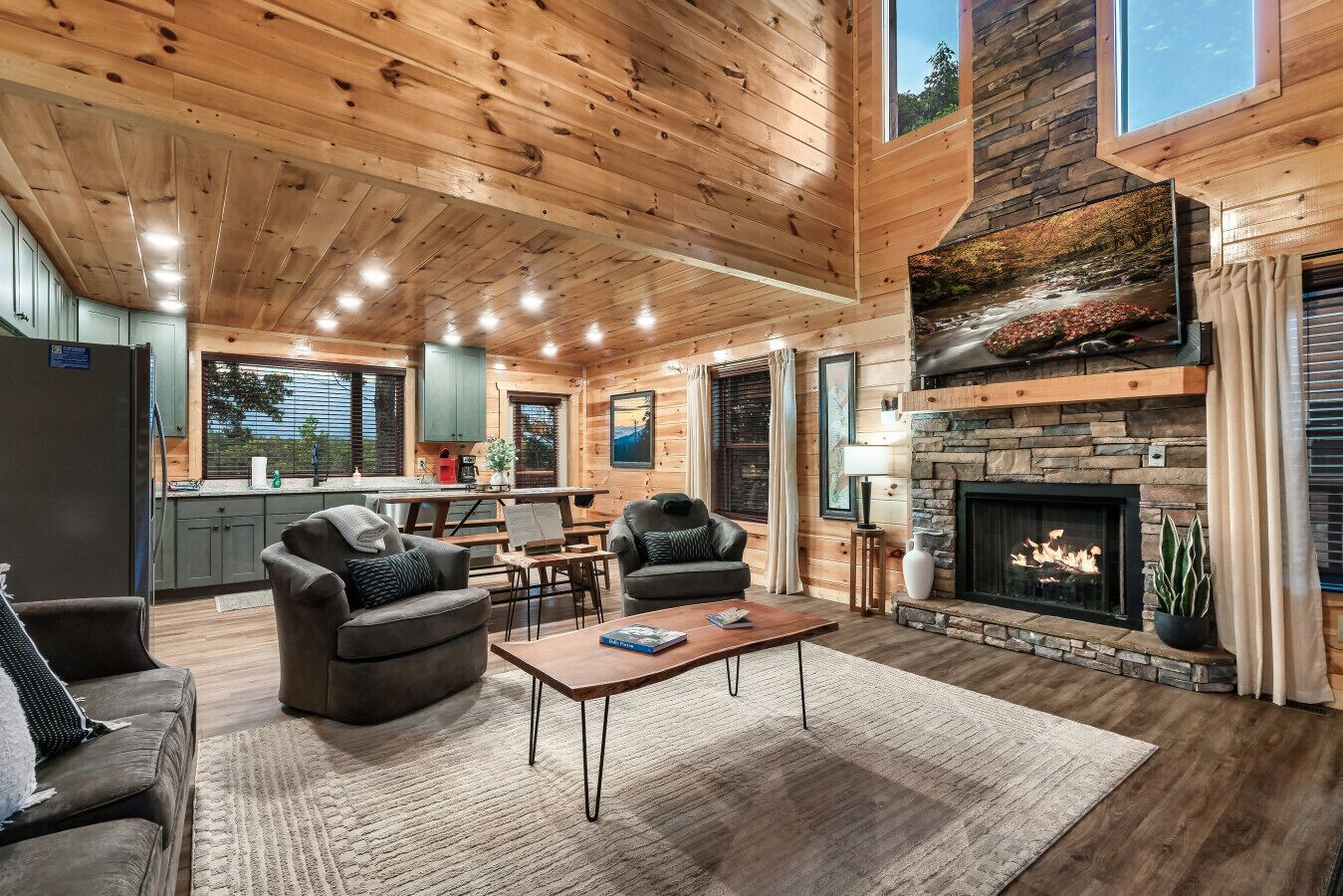 Smart TV, fireplace, video games, books