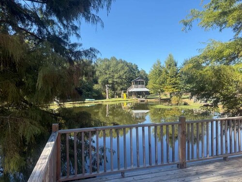 Cozy Retreat Home with deck. Pet friendly!- Pines