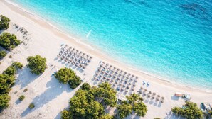 An aerial view of a beach with rows of sun loungers and umbrellas, trees, and a clear blue sea.