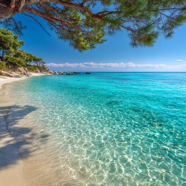 Beach nearby, white sand, beach towels, 10 beach bars