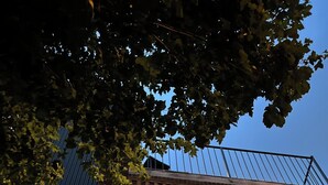 Un edificio de ladrillo con una ventana y una barandilla metálica en el techo.