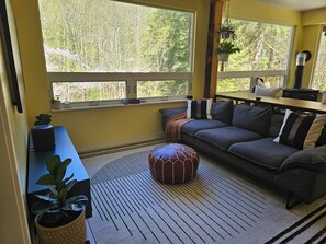 Smart TV, chimenea y libros