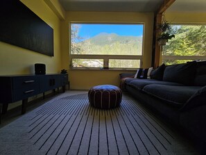 TV connectée, cheminée, livres