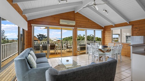 Dolphin - Apollo Bay