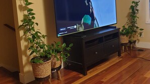 Et fladskærms-tv på et sort stativ i en stue med trægulv, to krukkeplanter og en beige væg.