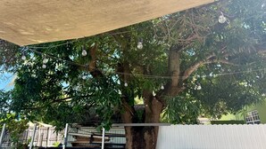Un árbol con una cerca blanca y un lona cubriendo la parte superior.